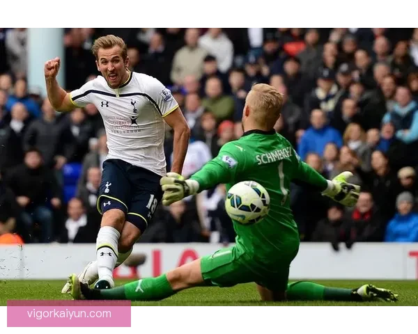 哈里·凯恩持续提升状态，2025年有望冲击50球纪录