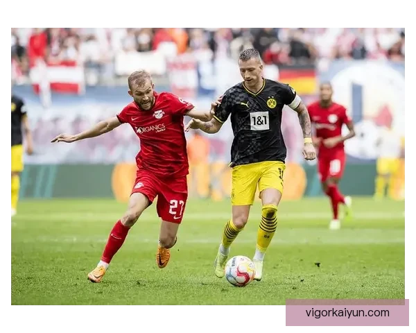 德甲红牛球迷表现稳健，球队主场气氛备受关注