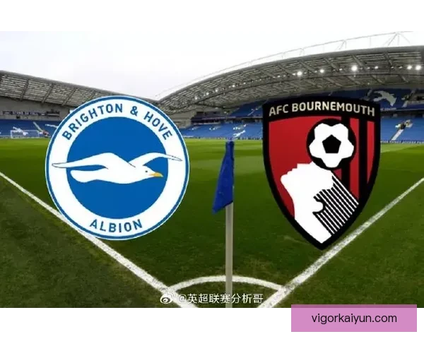 布莱顿本赛季欧联表现稳健，竞争力持续提升